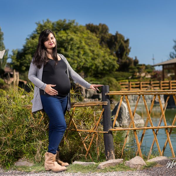 Sesion embarazo