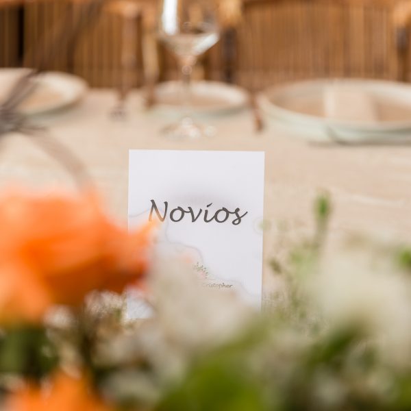 Matrimonio en La Serena
