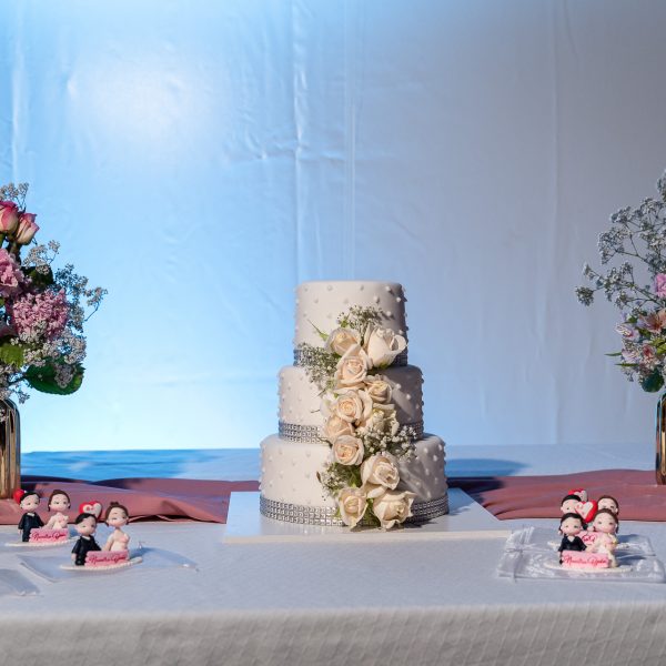 Boda Ma.Jose & Pablo
