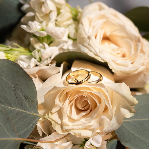 Boda Ma.Jose & Pablo