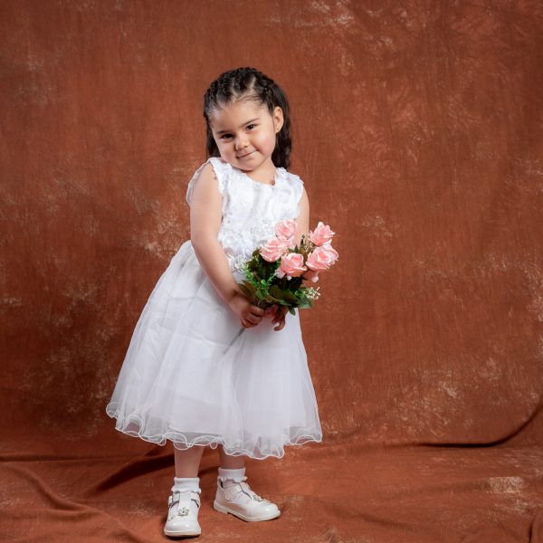 Book Infantil estudio