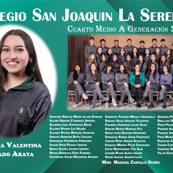 cuadro 12