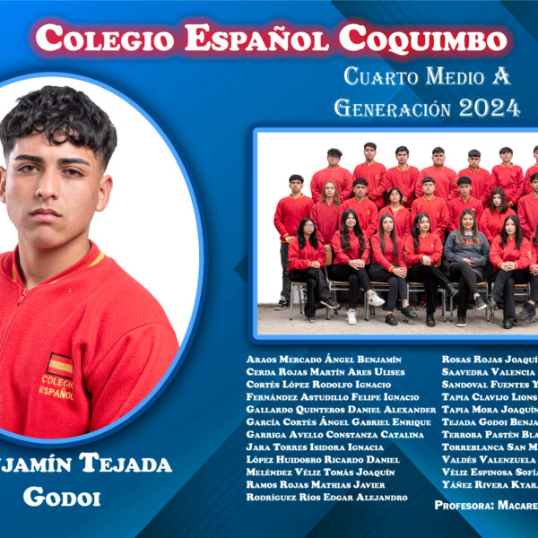 Cuadro 11